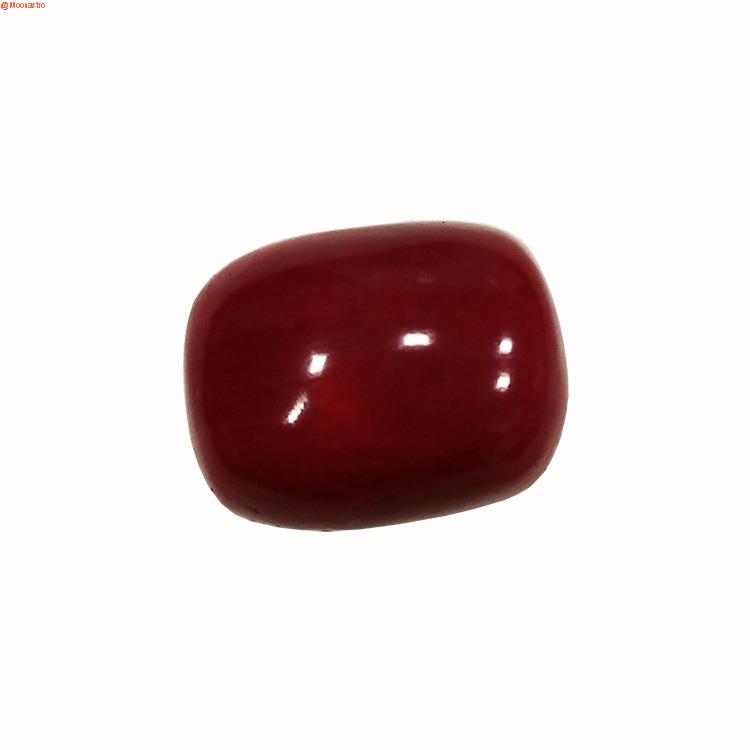 Red Coral Super Premium Large Size